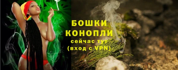 эйфоретик Дмитров