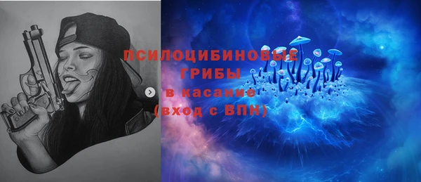 спиды Дмитриев
