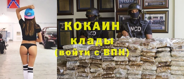 a pvp Дмитровск