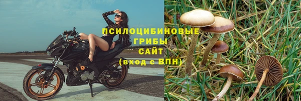 спиды Дмитриев