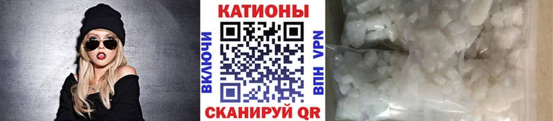 Купить закладки Западная Двина МЯУ-МЯУ VHQ