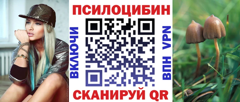 Купить  Западная Двина  Псилоцибиновые грибы MAGIC MUSHROOMS 